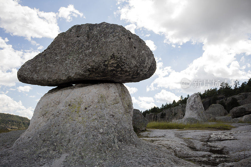 山谷de los hongos (Mushroom valley)